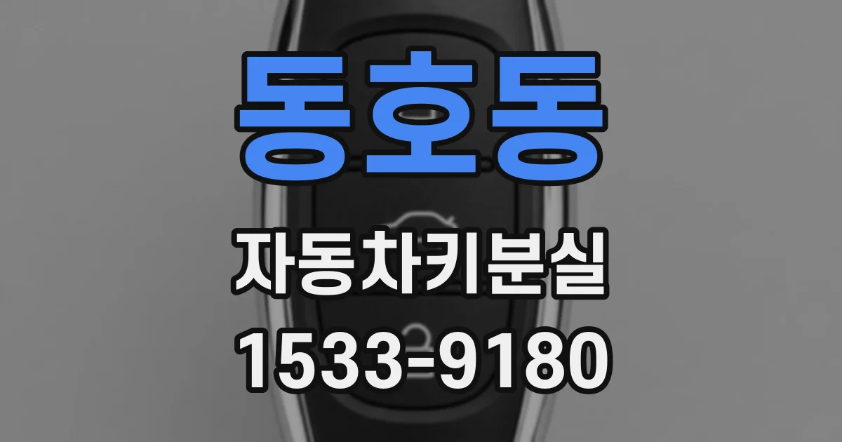 동호동 자동차키분실