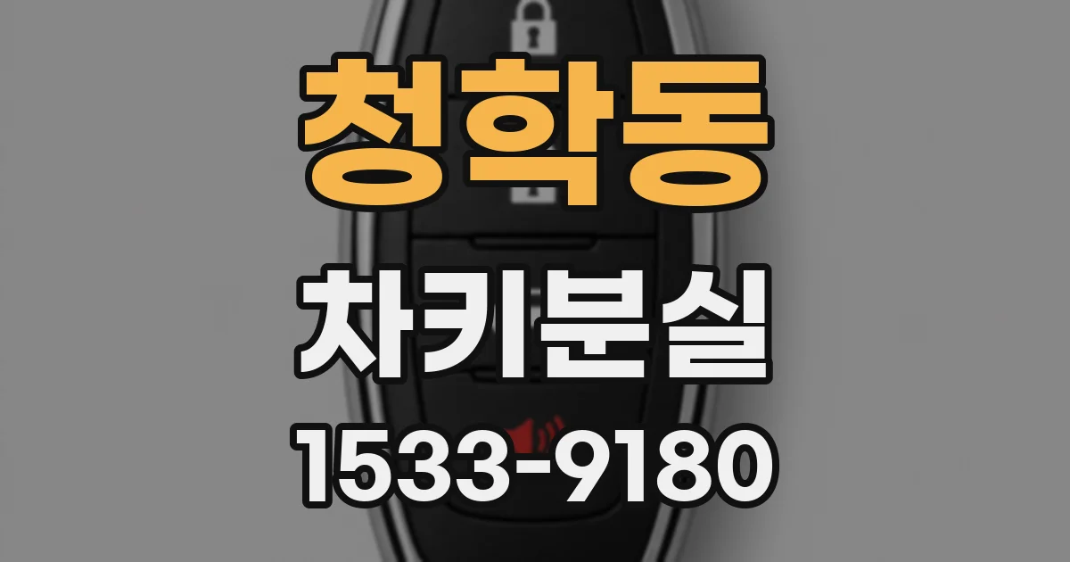 청학동 차키분실