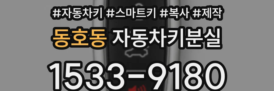동호동 자동차키분실