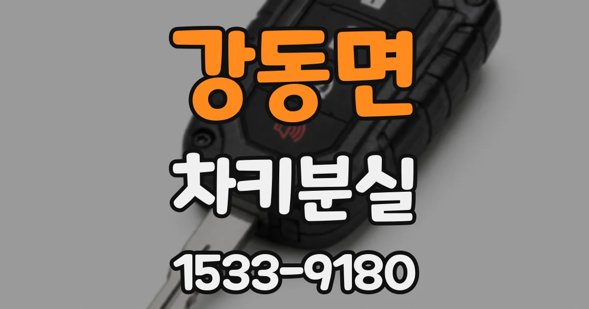 강동면 차키분실