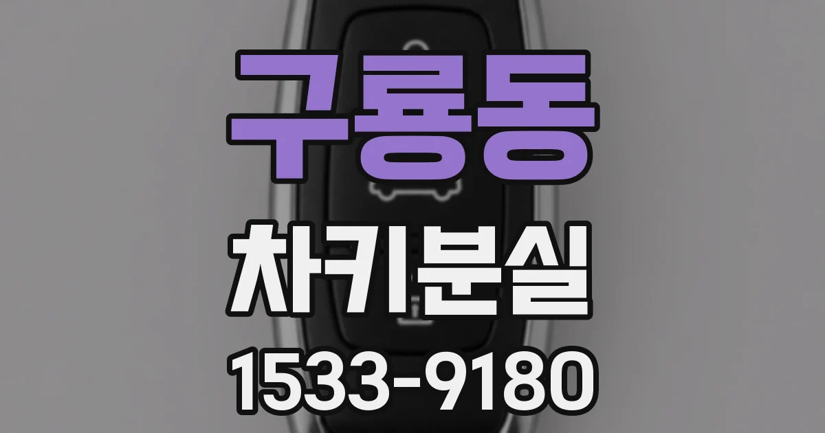 구룡동 차키분실