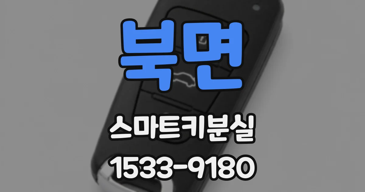 북면 스마트키분실