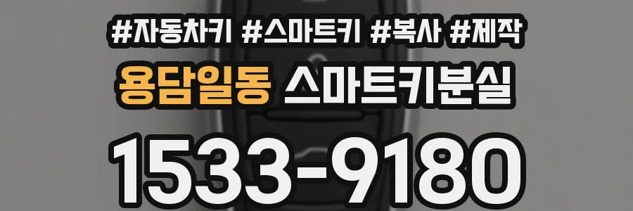 용담일동 스마트키분실