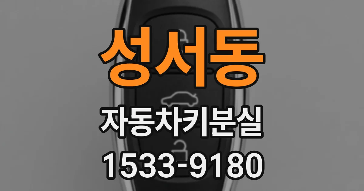 성서동 자동차키분실