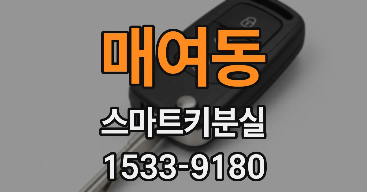매여동 스마트키분실