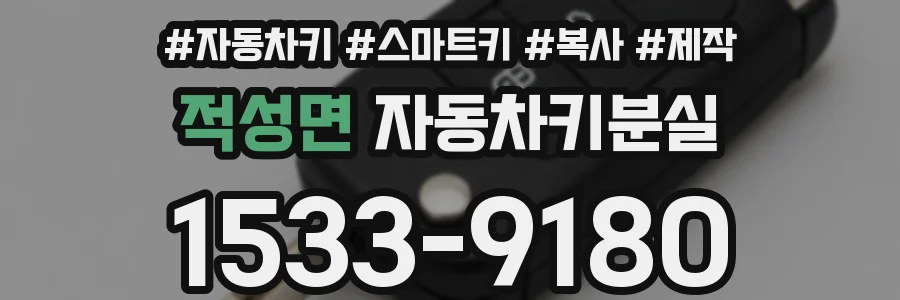 적성면 자동차키분실