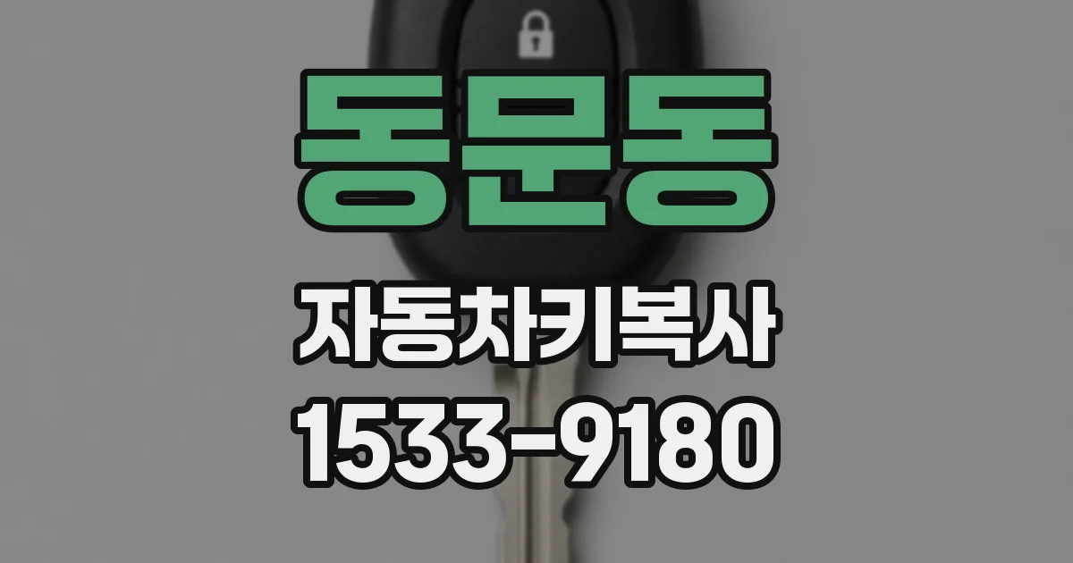 동문동 자동차키복사