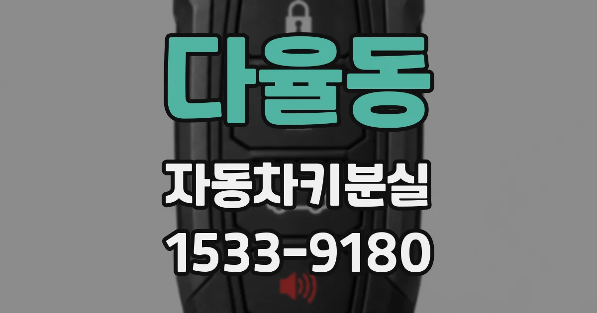 다율동 자동차키분실