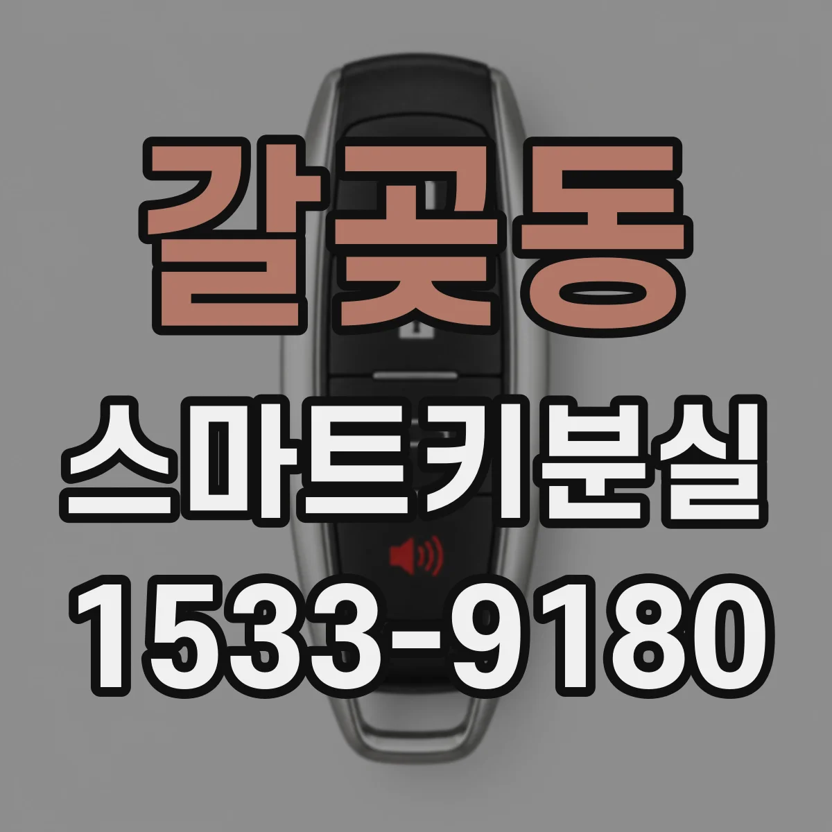 갈곶동 스마트키분실
