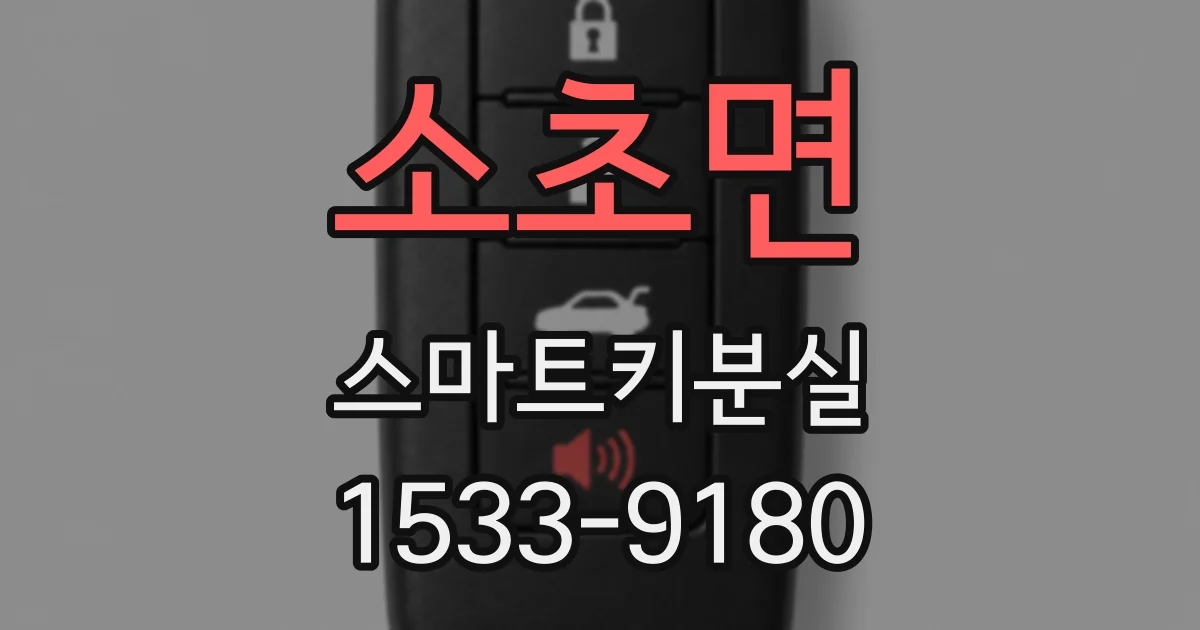 소초면 스마트키분실