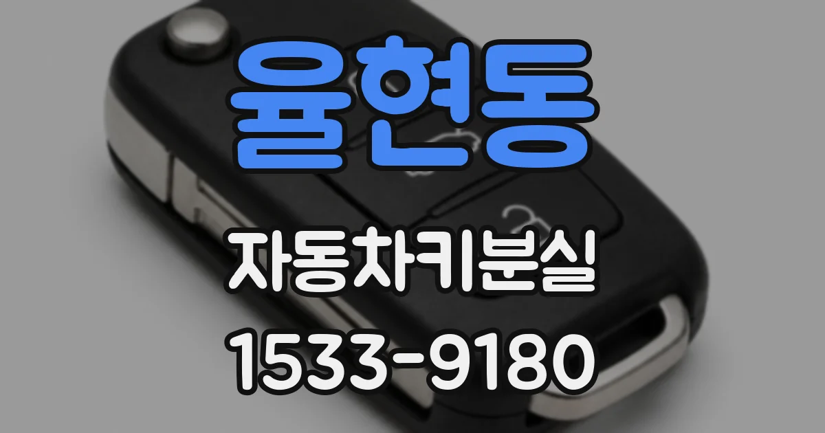 율현동 자동차키분실