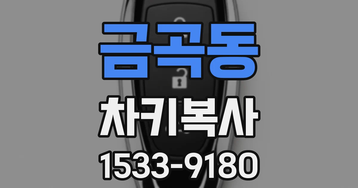 금곡동 차키복사