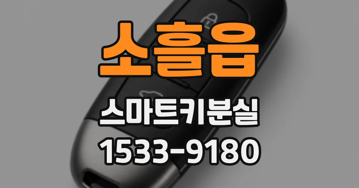 소흘읍 스마트키분실