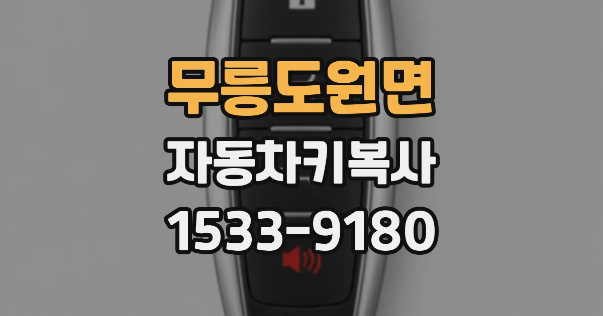 무릉도원면 자동차키복사