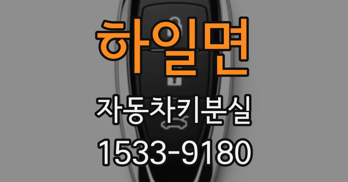 하일면 자동차키분실