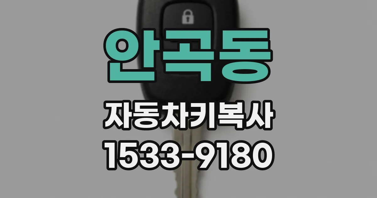 안곡동 자동차키복사