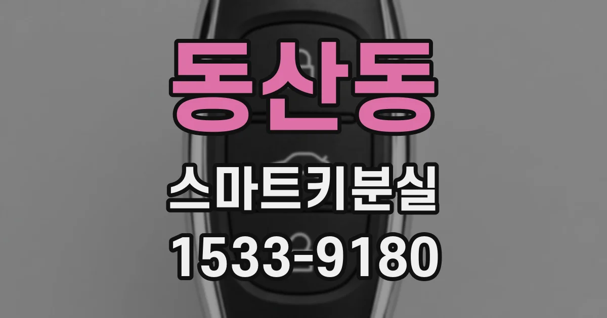 동산동 스마트키분실