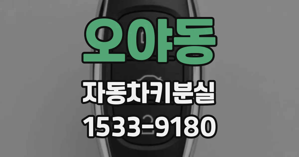 오야동 자동차키분실