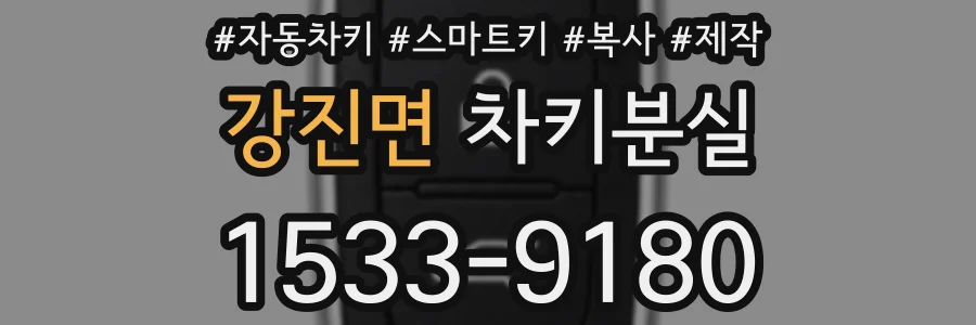 강진면 차키분실