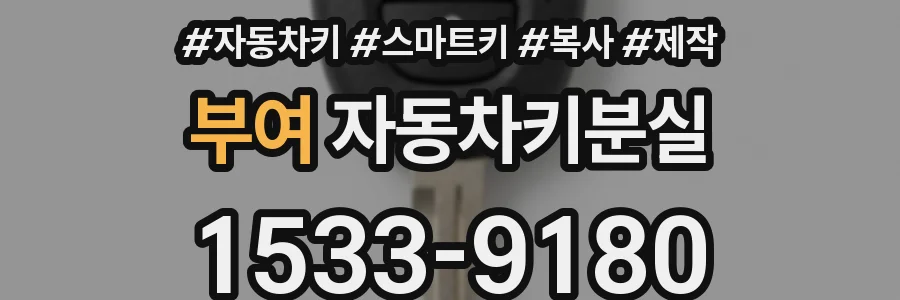 부여 자동차키분실