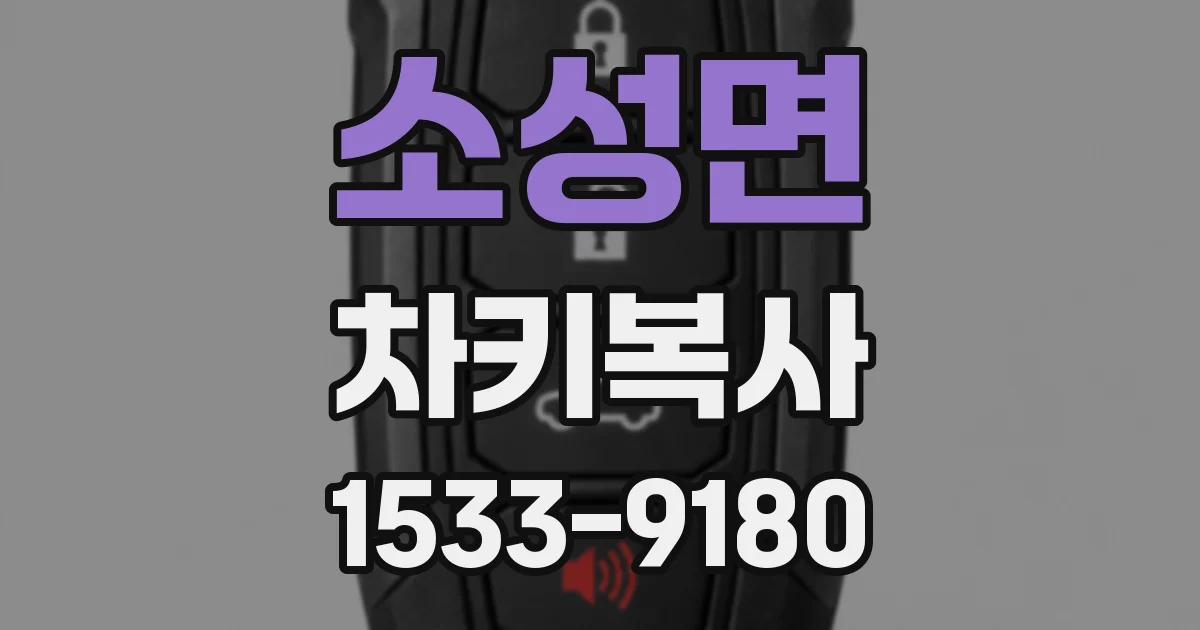 소성면 차키복사