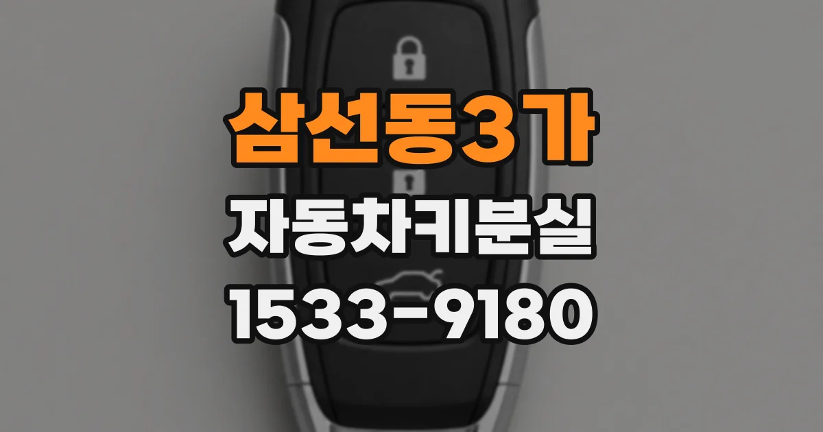 삼선동3가 자동차키분실