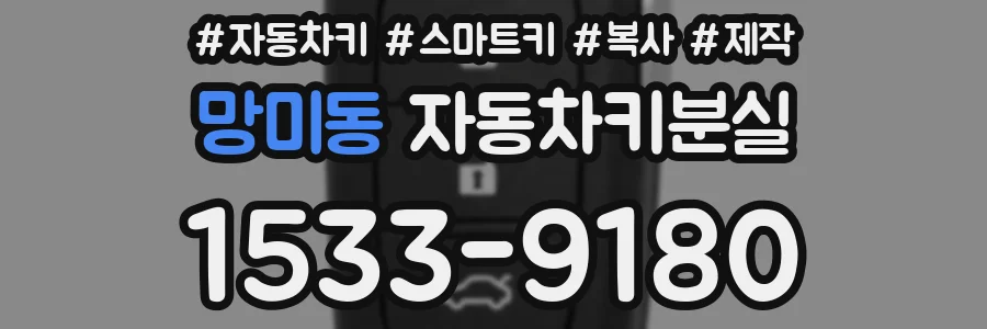 망미동 자동차키분실