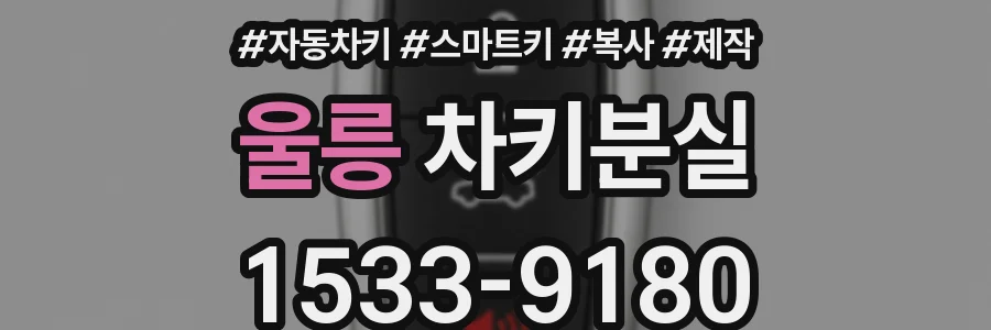 울릉 차키분실