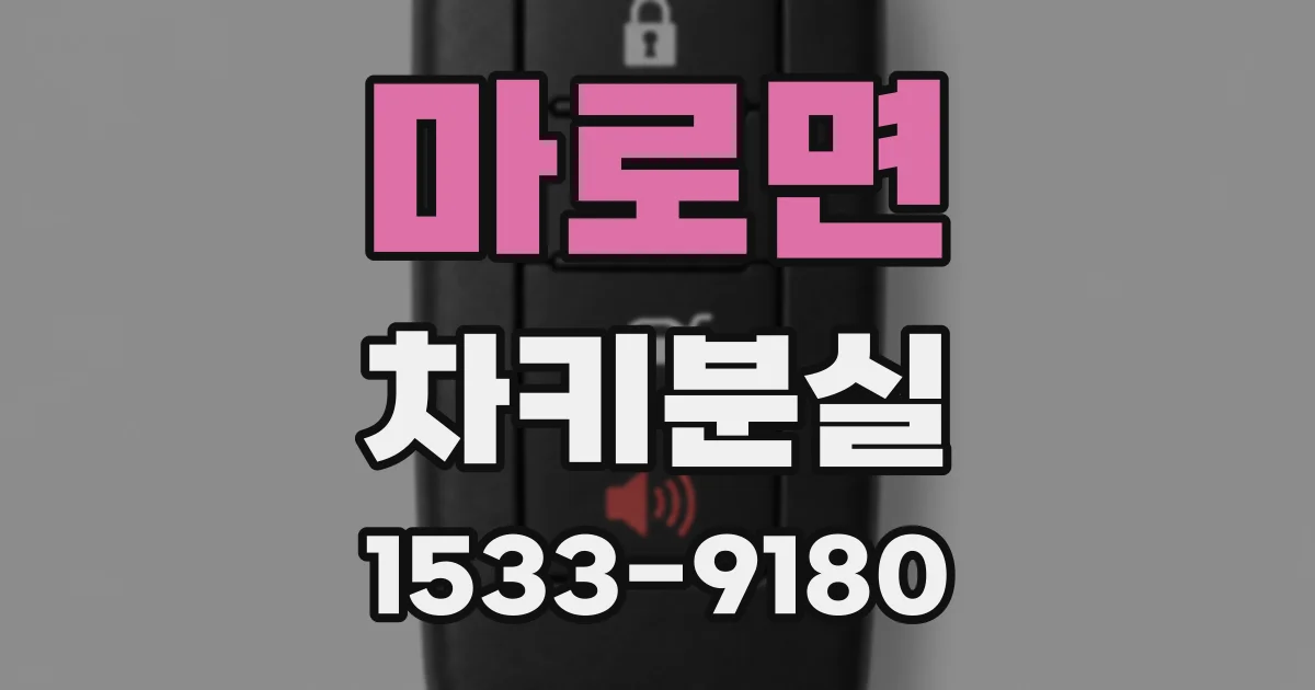 마로면 차키분실