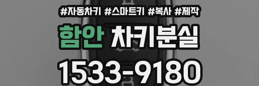 함안 차키분실