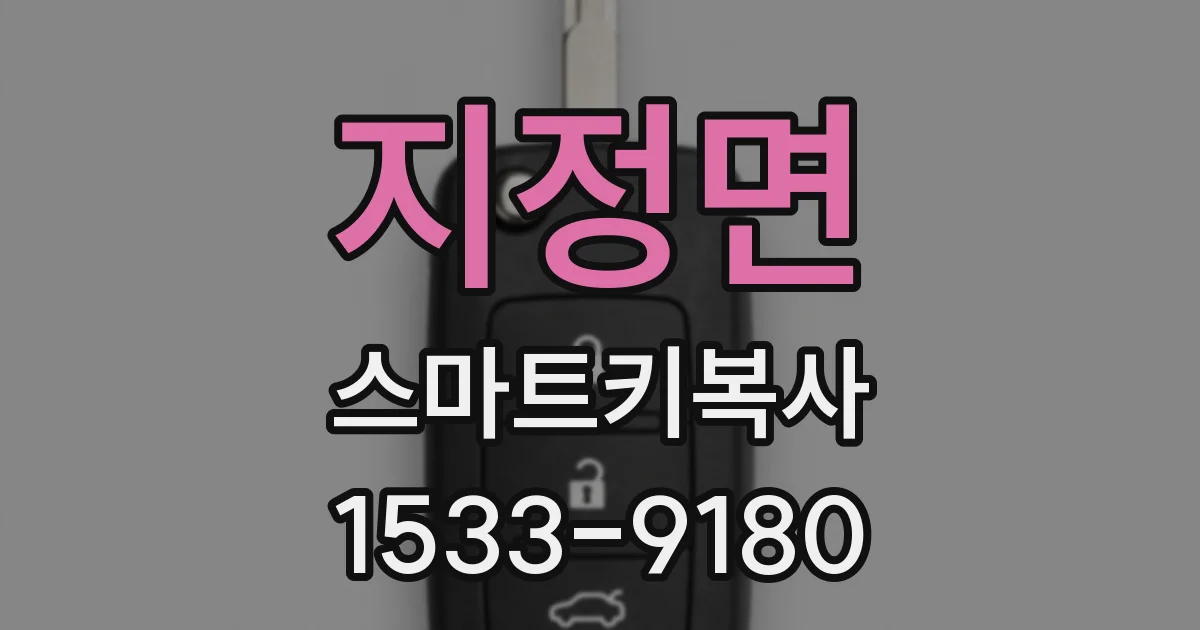지정면 스마트키복사