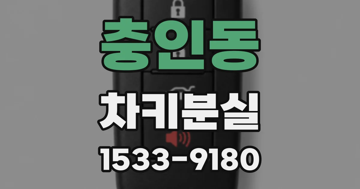 충인동 차키분실