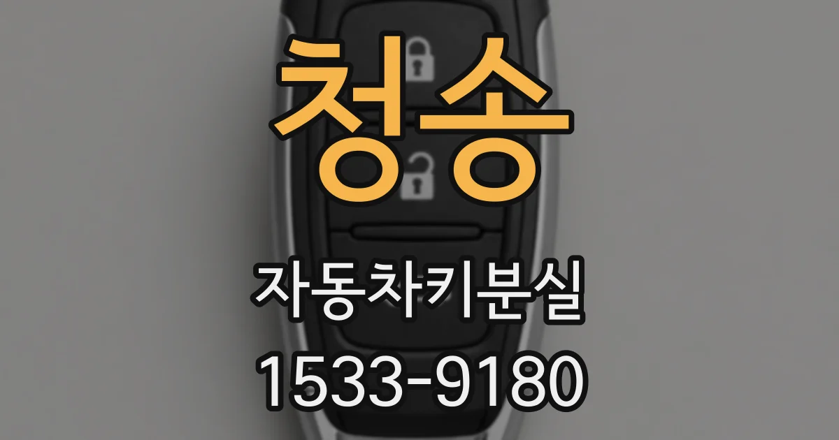 청송 자동차키분실