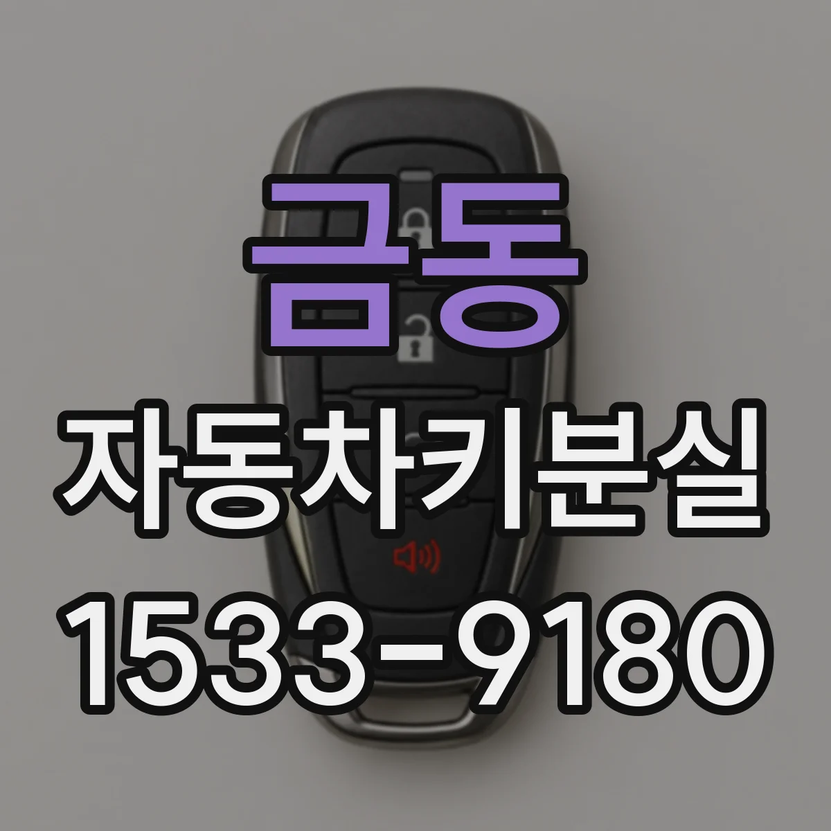 금동 자동차키분실