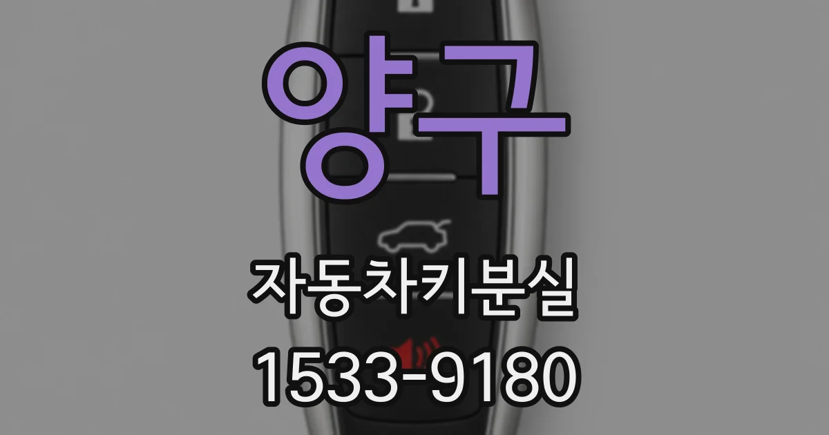 양구 자동차키분실