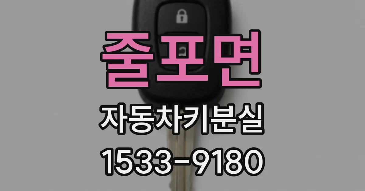 줄포면 자동차키분실