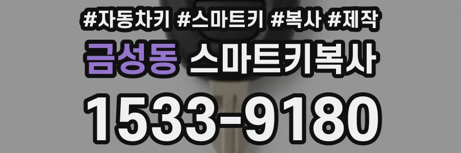 금성동 스마트키복사