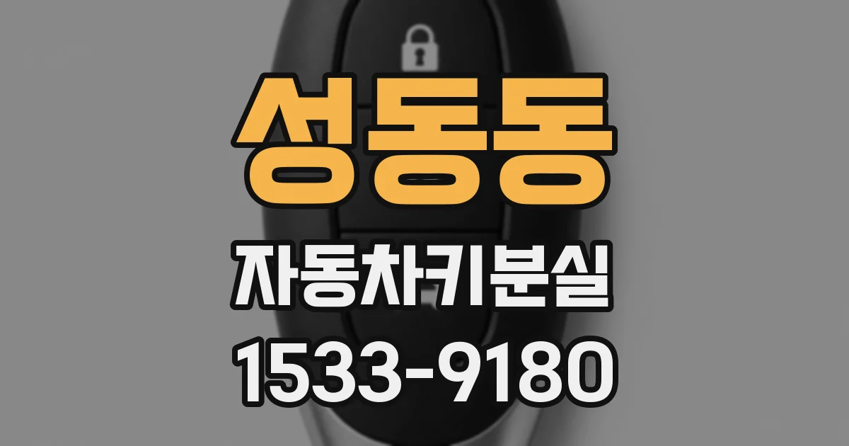 성동동 자동차키분실
