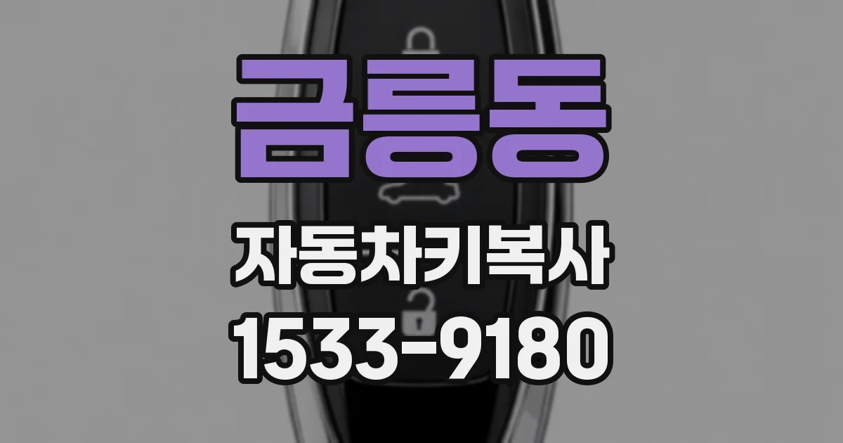 금릉동 자동차키복사