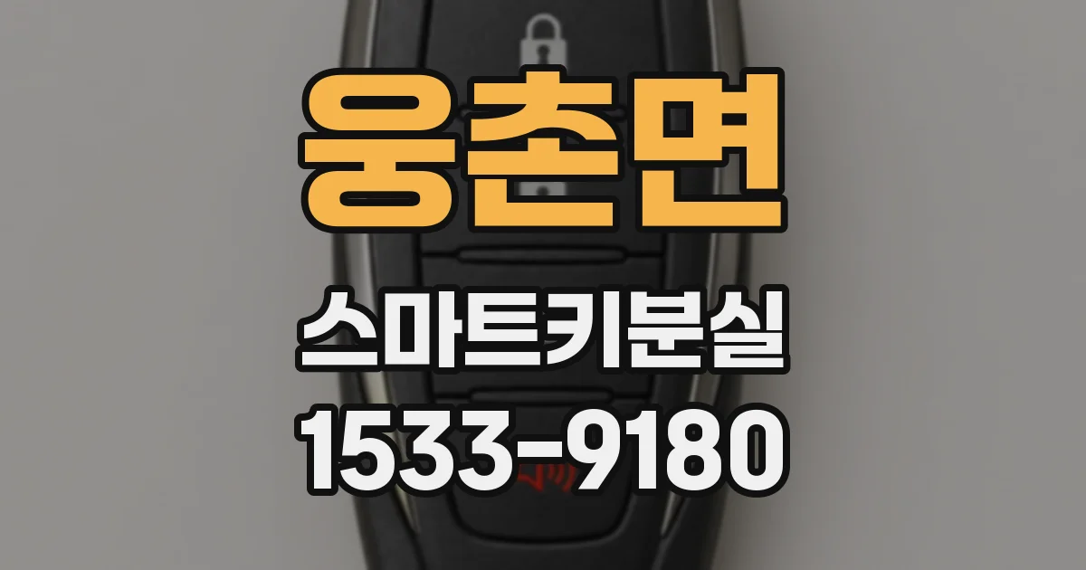 웅촌면 스마트키분실