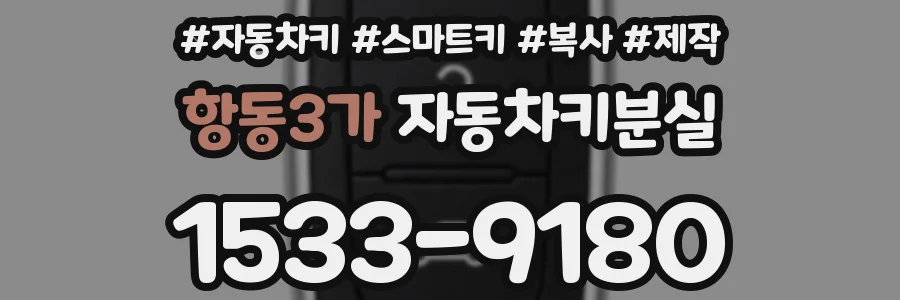 항동3가 자동차키분실