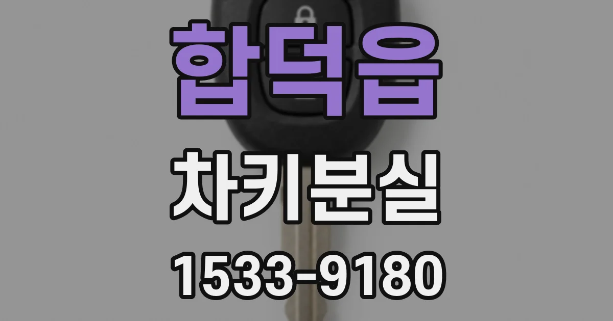 합덕읍 차키분실