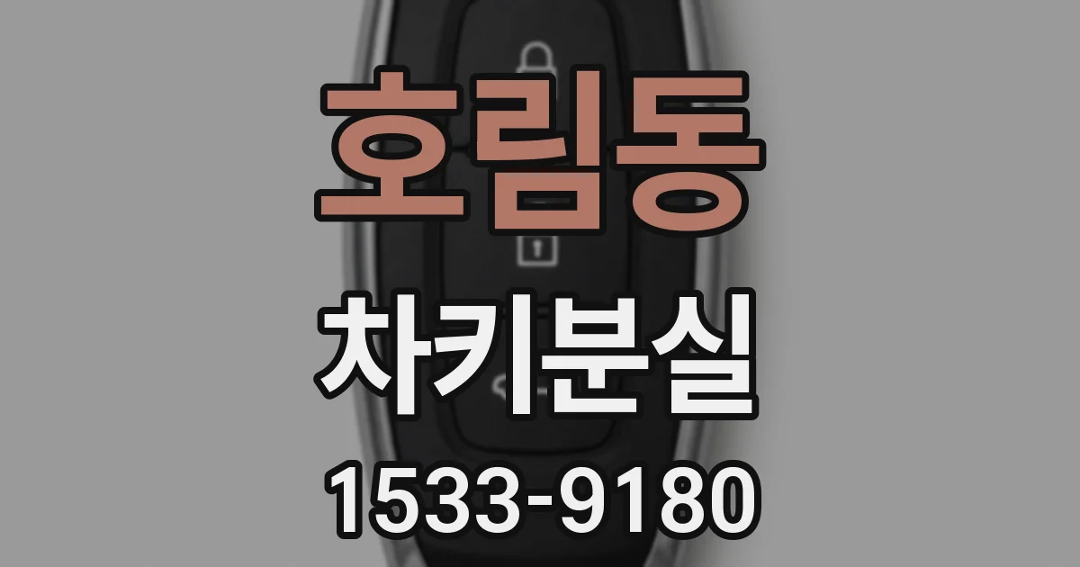 호림동 차키분실