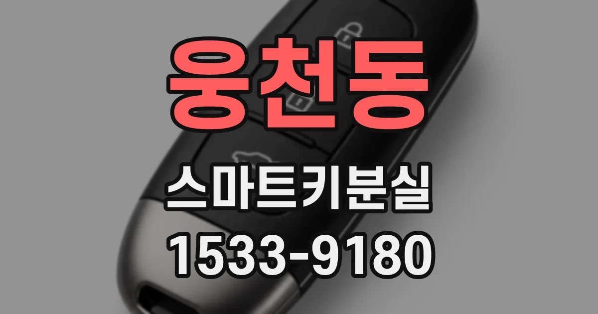 웅천동 스마트키분실
