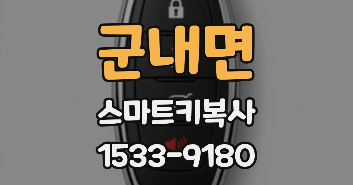 군내면 스마트키복사
