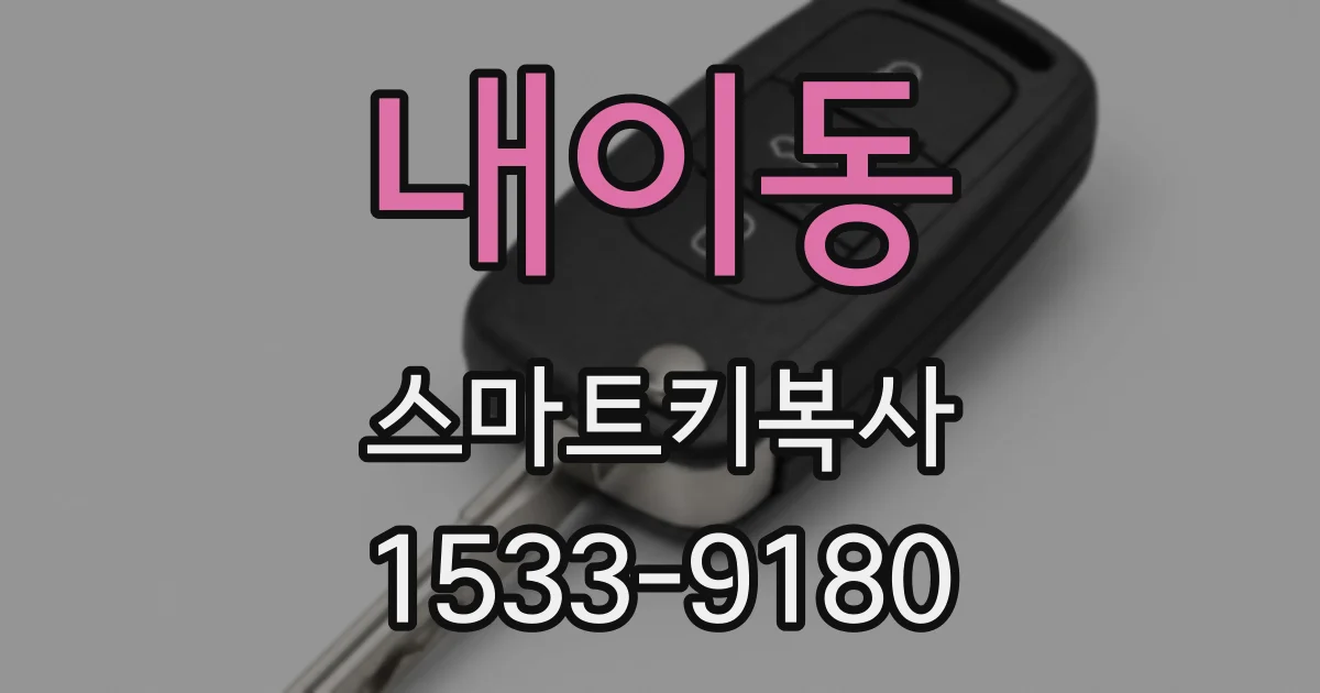 내이동 스마트키복사