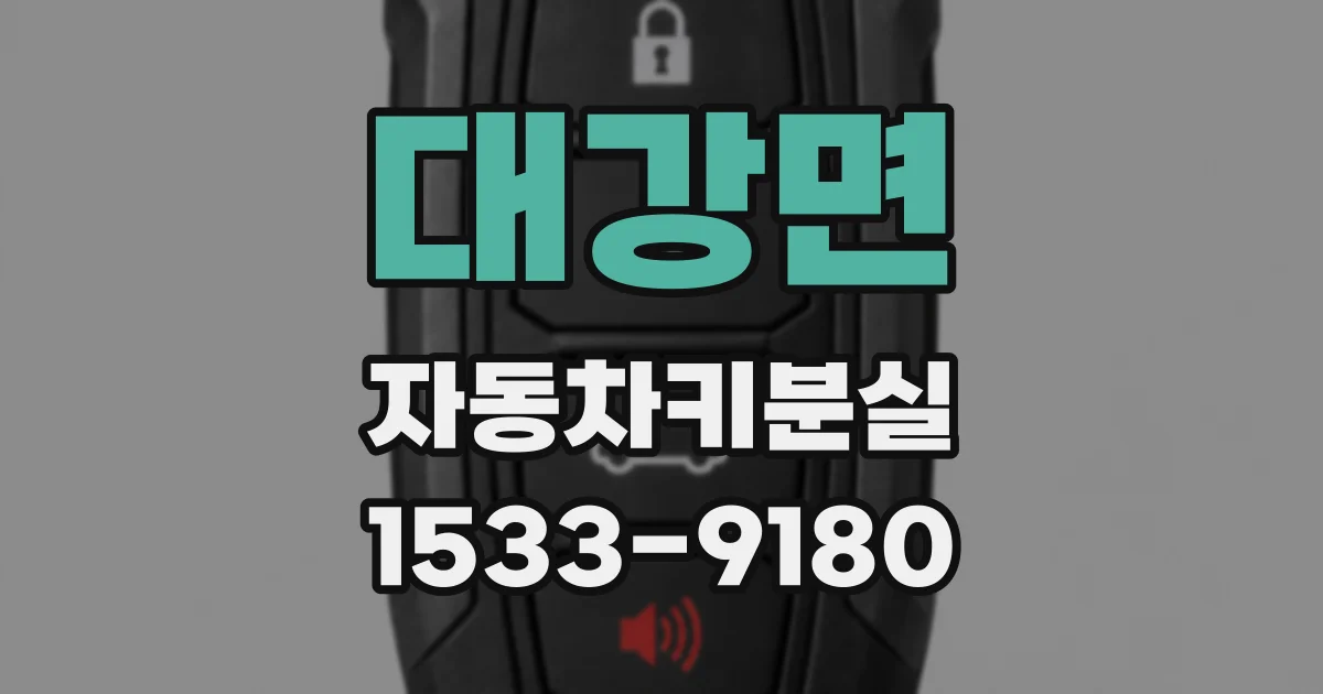 대강면 자동차키분실