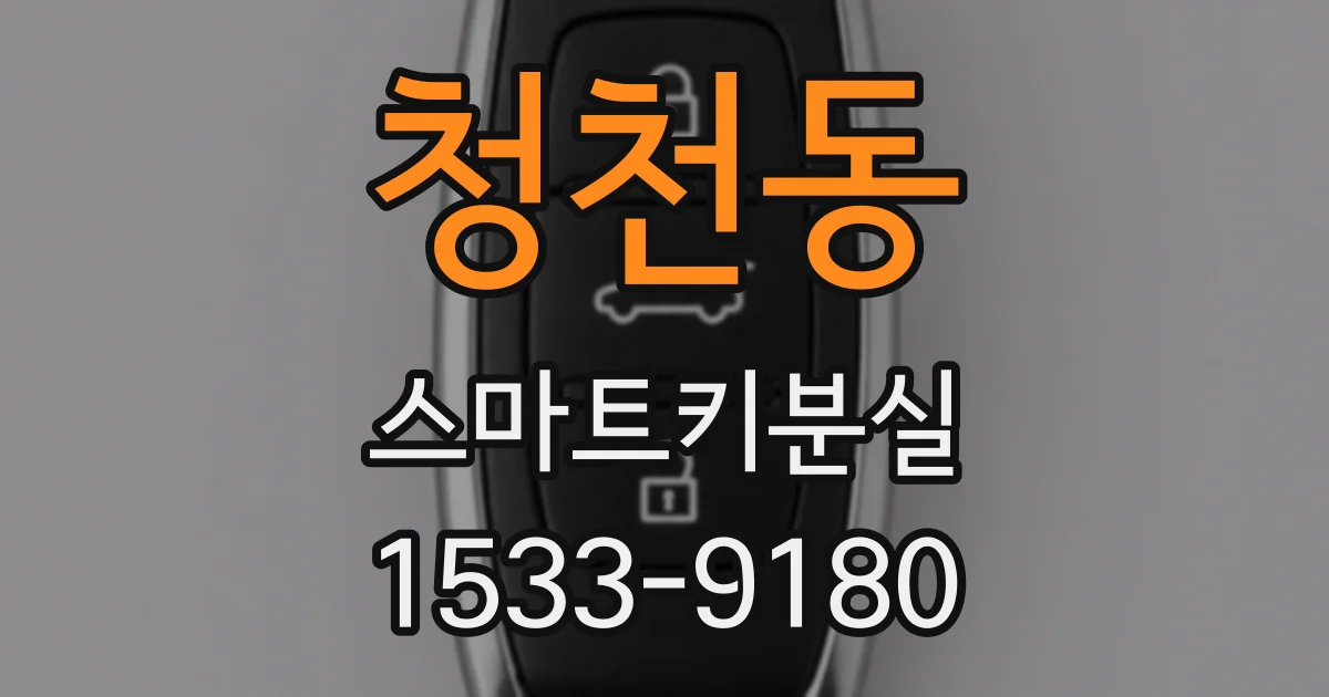 청천동 스마트키분실