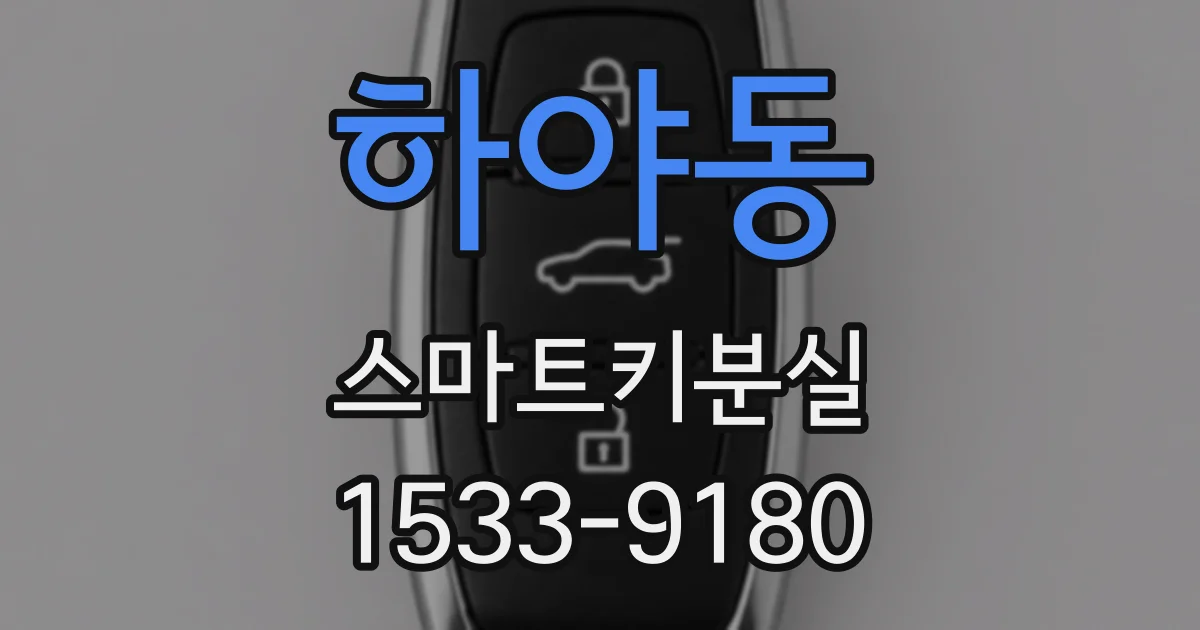 하야동 스마트키분실