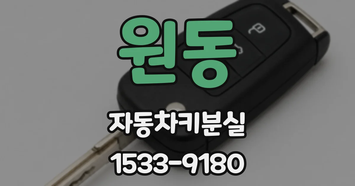 원동 자동차키분실